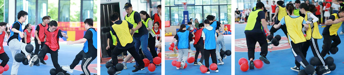 ���ֻ����Ч����������˹ά��˹9888ʮ��������Ȥζ���